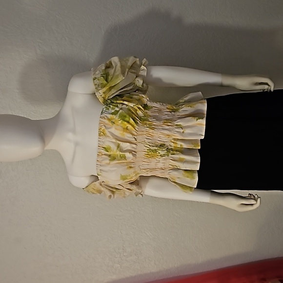 THE CURATED CURVY Puff Sleeve Smock Off Shoulder Colonial Castlecore Crop Top - Picture 5 of 8